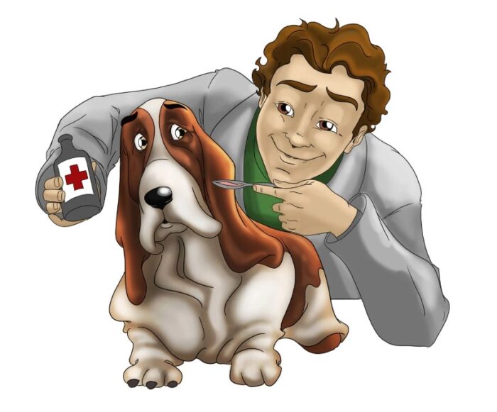 The False Purpose Of Veterinary Behaviorists In Dog Training