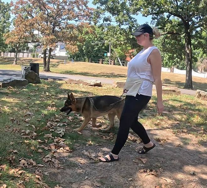 Working line German Shepherd heel training