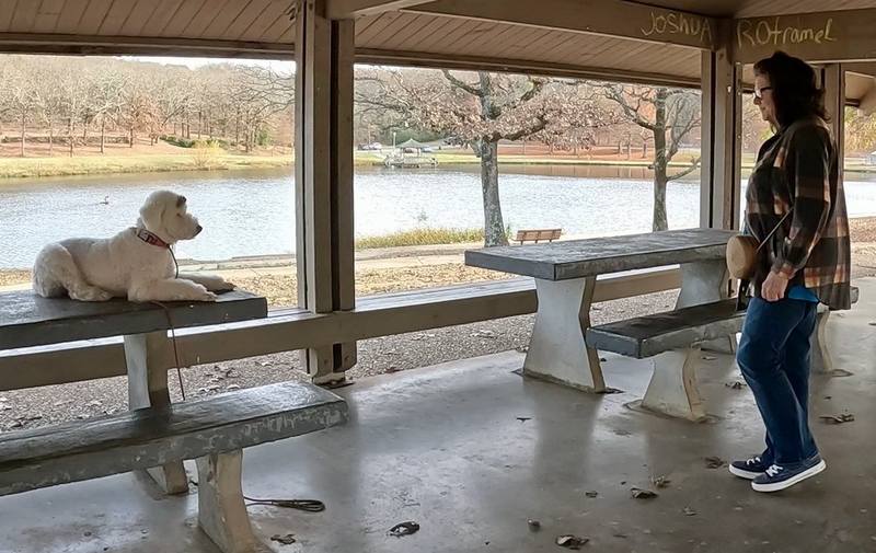 Doodle place and stay