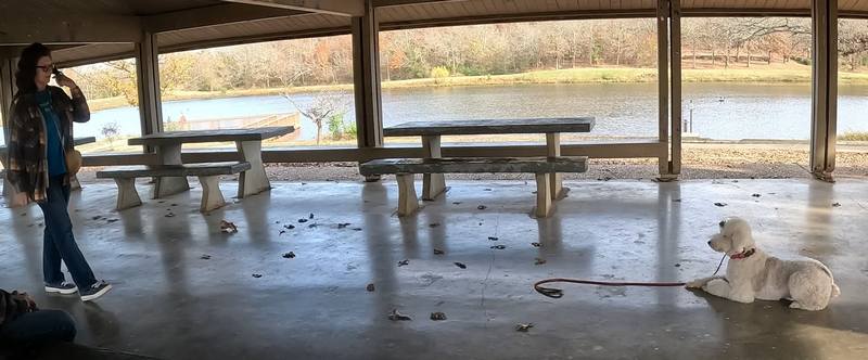 Doodle Down and stay comand