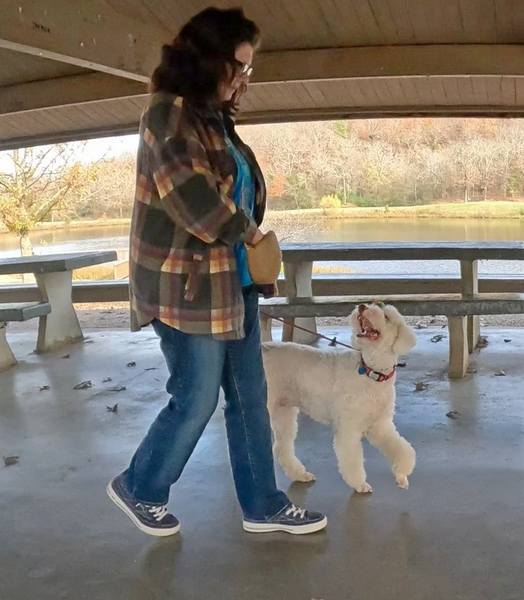 Doodle heel dog training