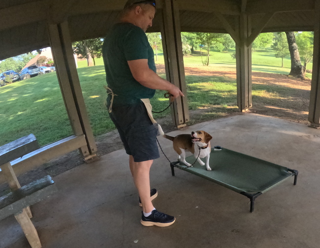 Beagle 'place' command 