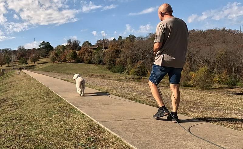 Doodle long leash walking