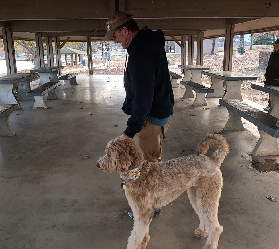 Goldie making a walking turn
