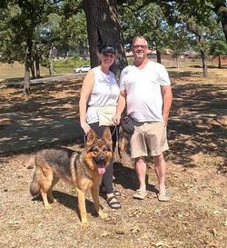 German Shepherd 'Koti' Training 