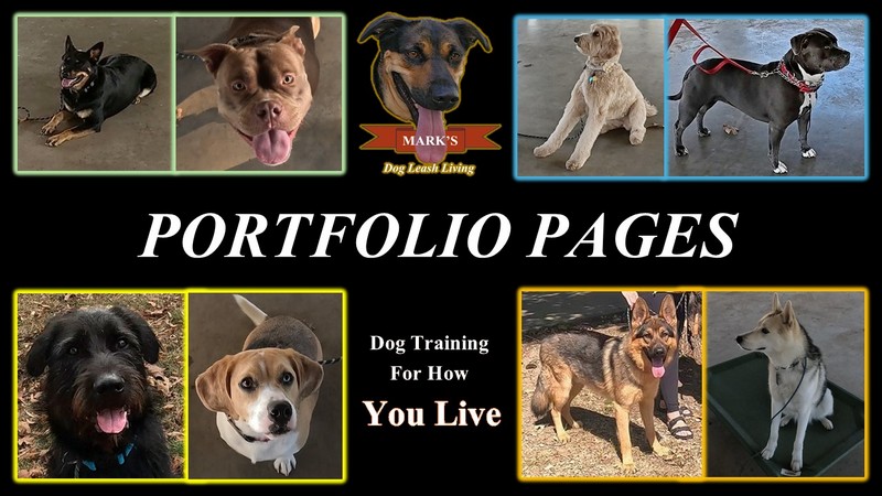 Mark Rogers dog training portfolio