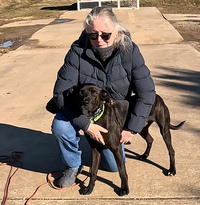 Terrier Denny Training Report