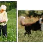 mismatched dog and owner