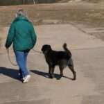 Complying with Fort Smith Animal Ordinance