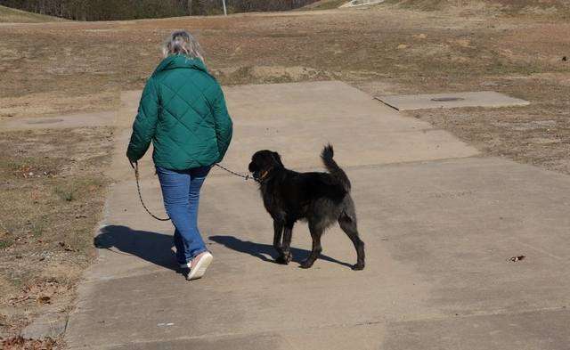 Working Your Dog(s) Within The Fort Smith Animal Ordinance