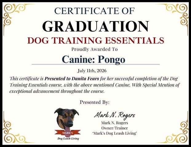 0 Graduation Cert