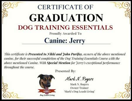 Training Graduation Certificate