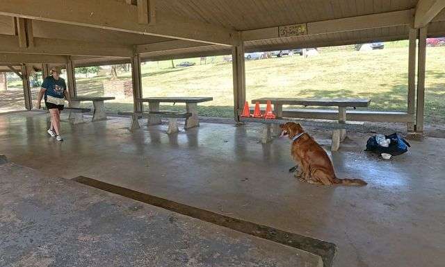 pavilion sit 2