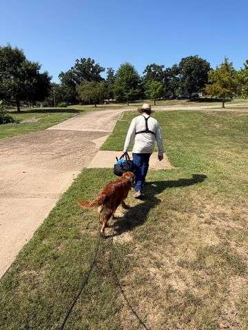 pongo walk