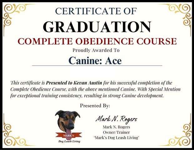 000 Ace Graduation Certificate PFO