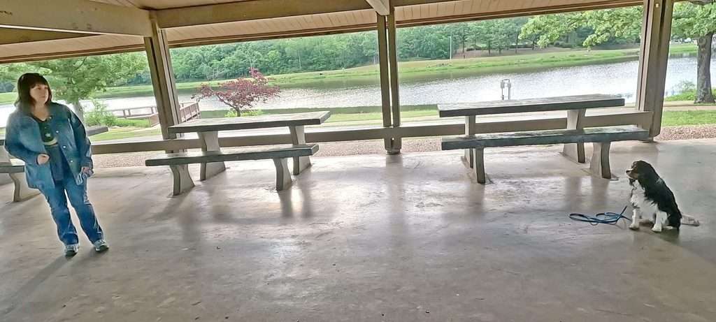 3 long sit