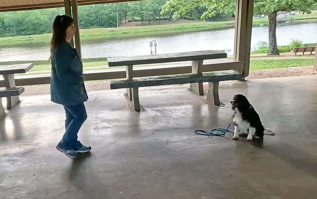 4 cont long sit