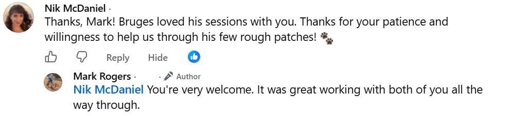 Bruges testimonial