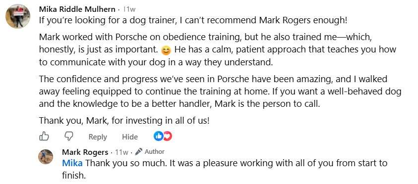 Mulhern testimonial