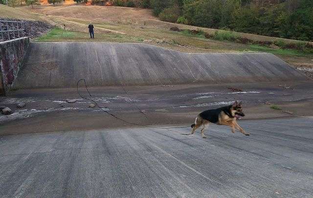 dash up